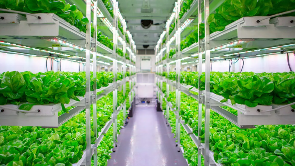 Hydroponics